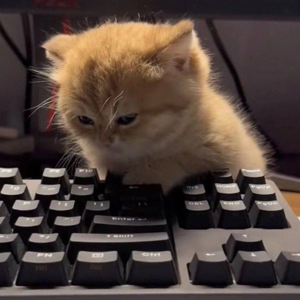 もなか